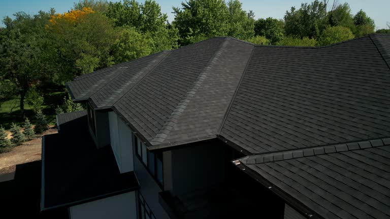 Best Roof Coating and Sealing  in Lton, IN