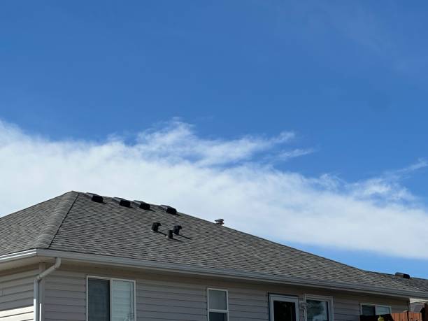 Roof Moss and Algae Removal in Linton, IN